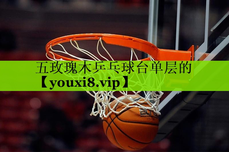 五玫瑰木乒乓球台单层的