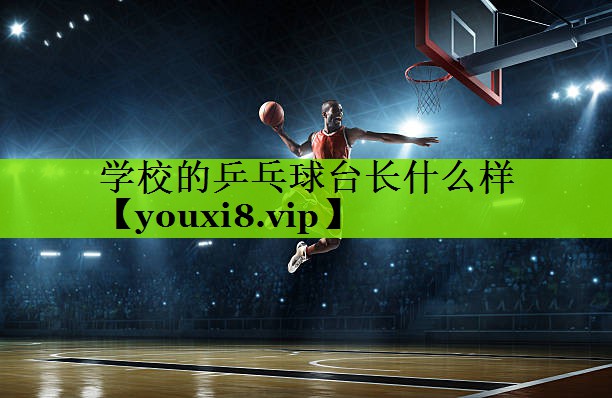 学校的乒乓球台长什么样