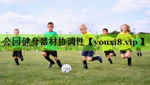 公园健身器材协调性