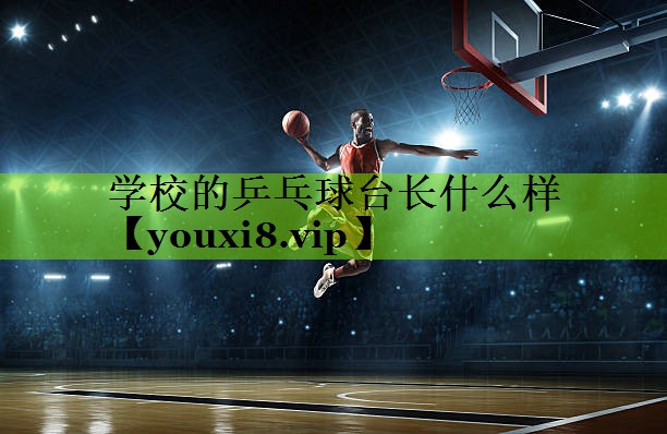 学校的乒乓球台长什么样