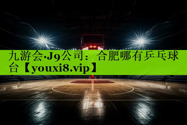 合肥哪有乒乓球台