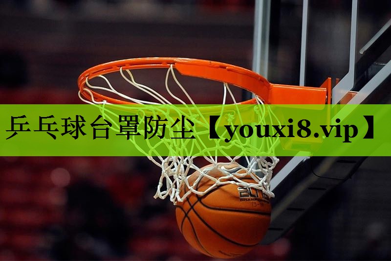 乒乓球台罩防尘
